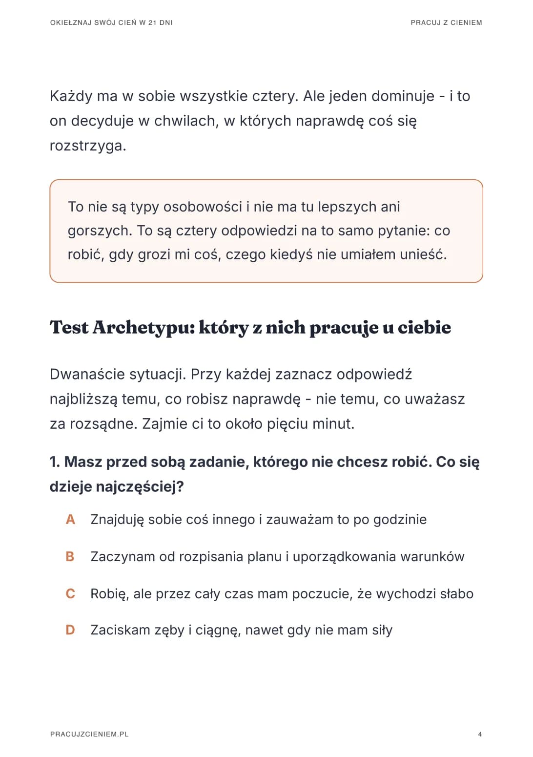 Strona z pliku: Test Archetypu